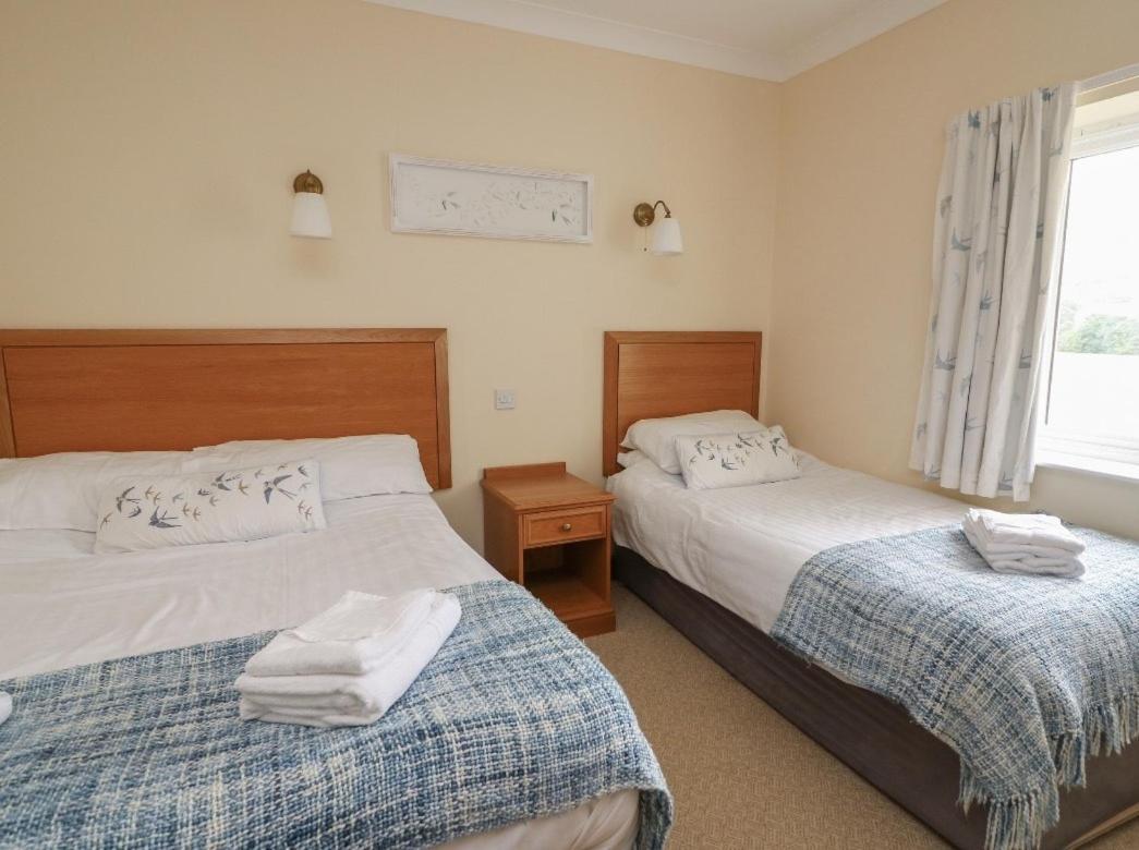 Llety Ceiro Guesthouse آبيريستويث المظهر الخارجي الصورة