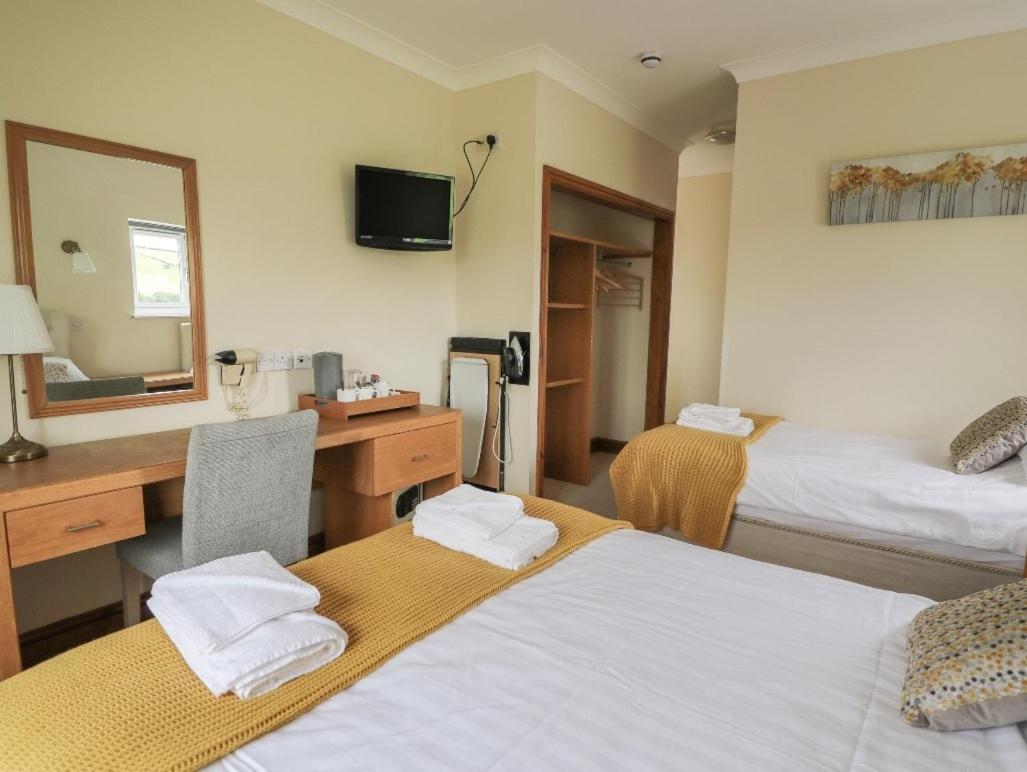 Llety Ceiro Guesthouse آبيريستويث المظهر الخارجي الصورة