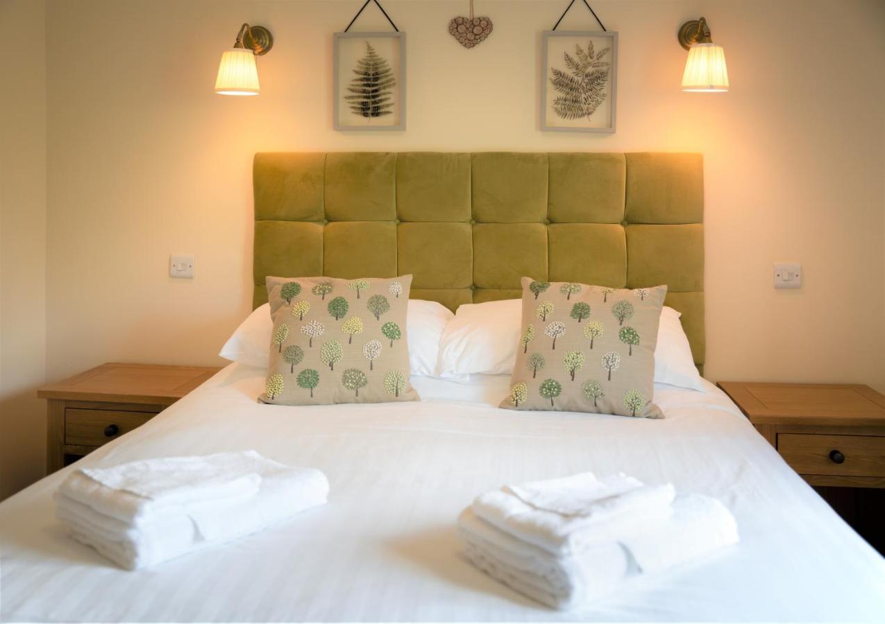 Llety Ceiro Guesthouse آبيريستويث المظهر الخارجي الصورة