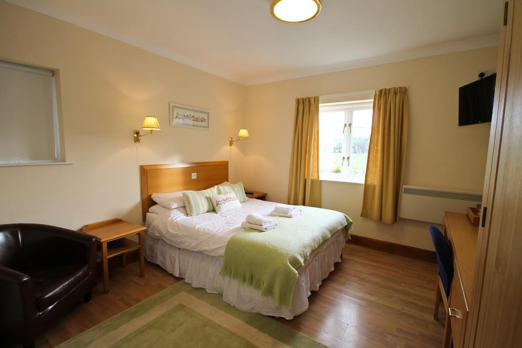 Llety Ceiro Guesthouse آبيريستويث المظهر الخارجي الصورة