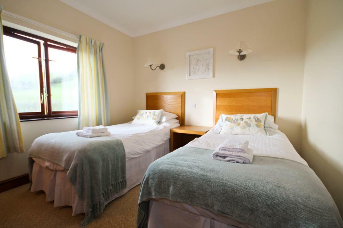 Llety Ceiro Guesthouse آبيريستويث المظهر الخارجي الصورة